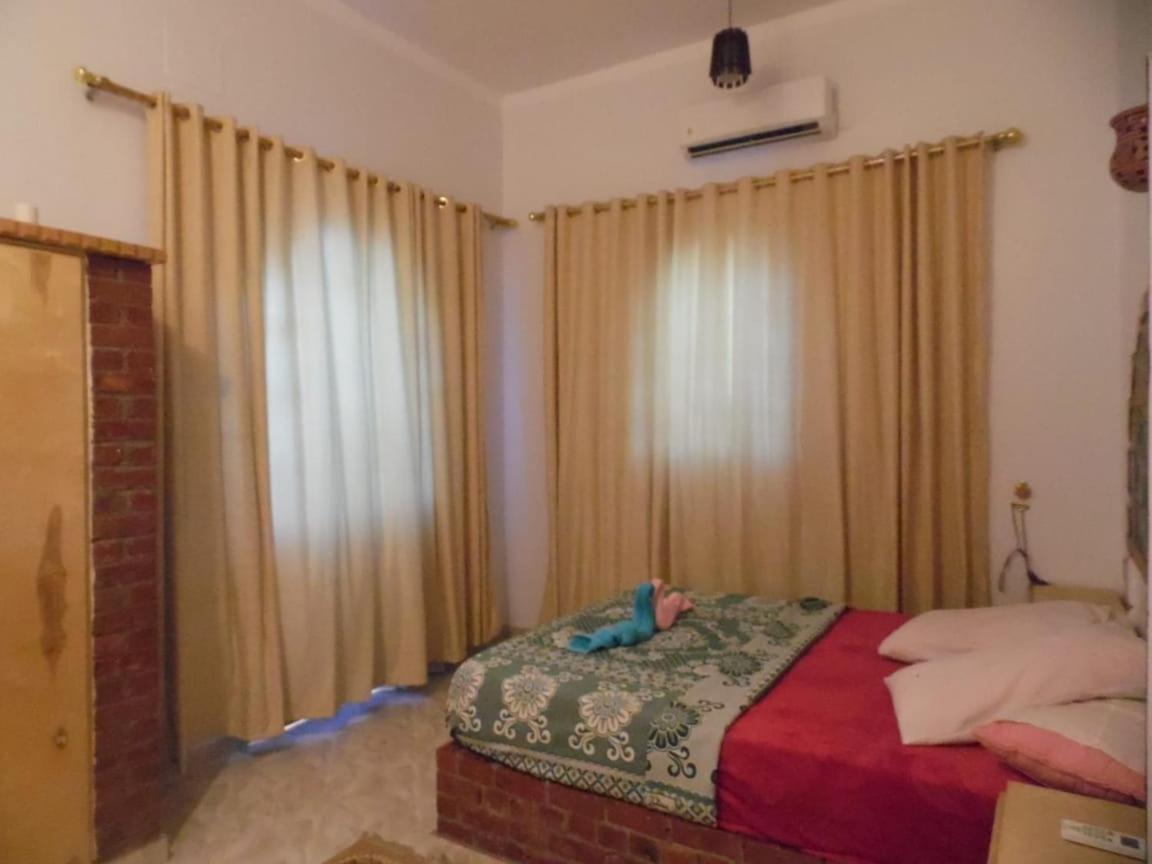 דירות לוקסור Nour House מראה חיצוני תמונה